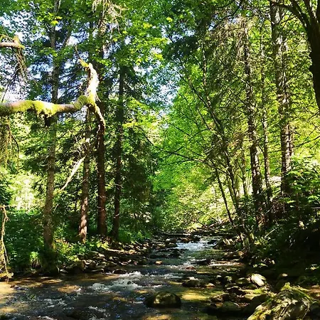 Apartment Pohorje House 2 Four Appartmetns Oplotnica