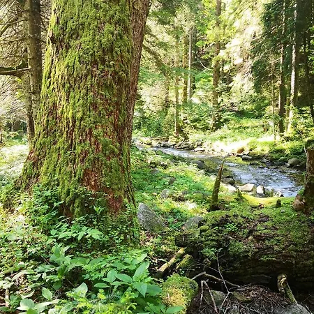 Pohorje House 2 Four Appartmetns