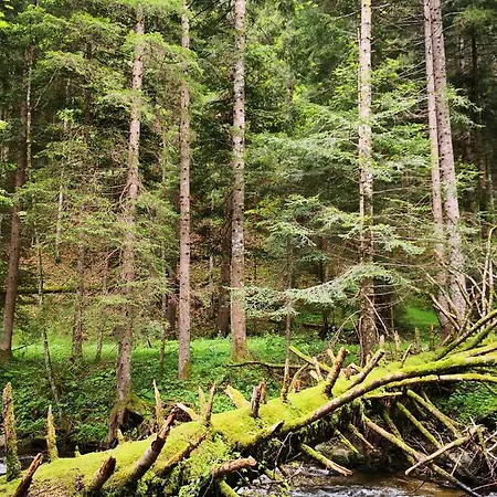 Pohorje House 2 Four Appartmetns *