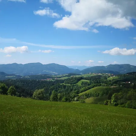 Pohorje House 2 Four Appartmetns Апартаменты Oplotnica