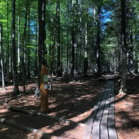 Pohorje House 2 Four Appartmetns *