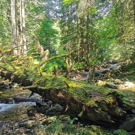 Pohorje House 2 Four Appartmetns Апартаменты