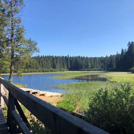 Pohorje House 2 Four Appartmetns Апартаменты *