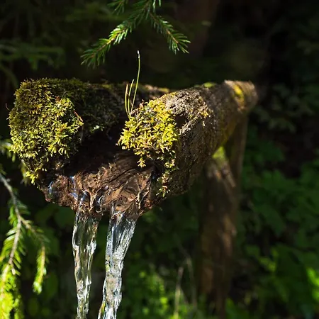 Апартаменты Pohorje House 2 Four Appartmetns *