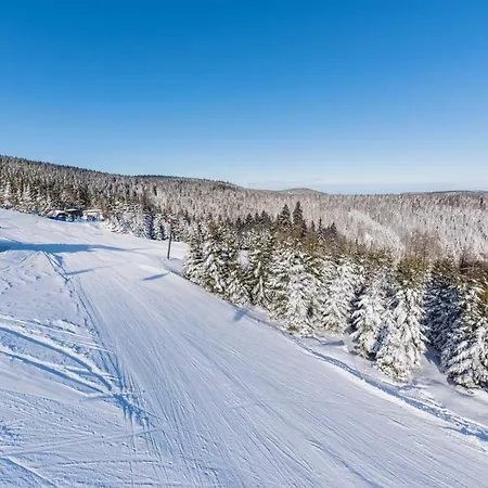 Апартаменты Pohorje House 2 Four Appartmetns Oplotnica