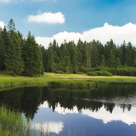 Pohorje House 2 Four Appartmetns Oplotnica