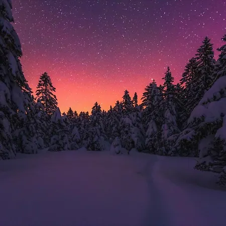 Pohorje House 2 Four Appartmetns Oplotnica