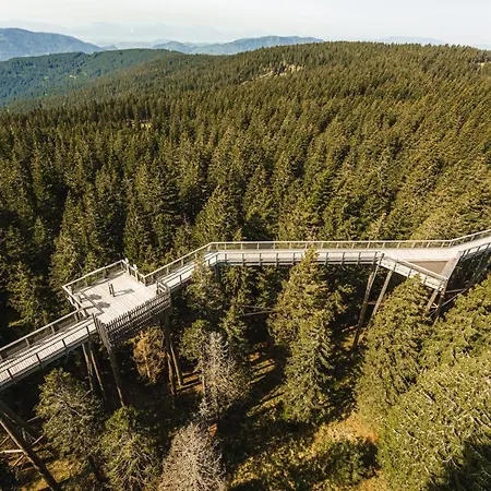 Апартаменты Pohorje House 2 Four Appartmetns