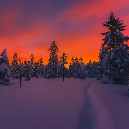 Pohorje House 2 Four Appartmetns Oplotnica