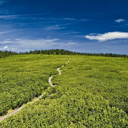 Апартаменты Pohorje House 2 Four Appartmetns Oplotnica