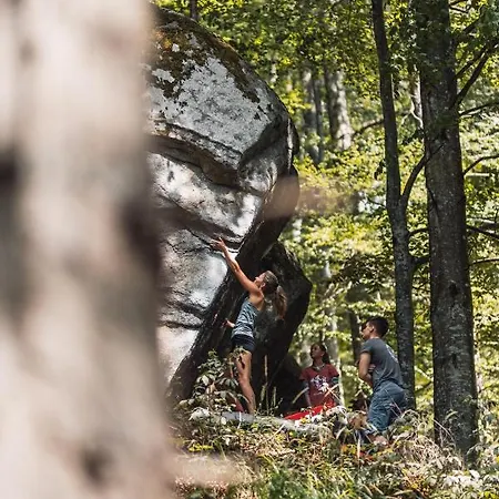 Pohorje House 2 Four Appartmetns Апартаменты *