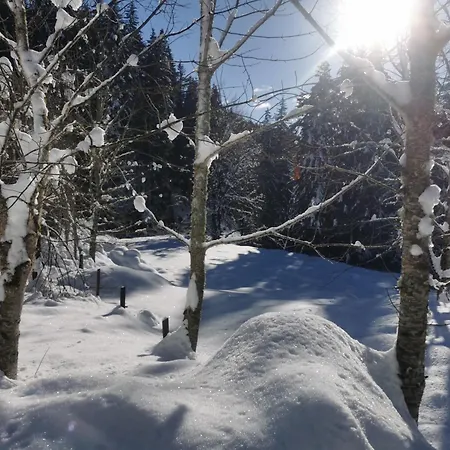 Pohorje House 2 Four Appartmetns Апартаменты Oplotnica