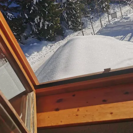 Pohorje House 2 Four Appartmetns Διαμέρισμα *