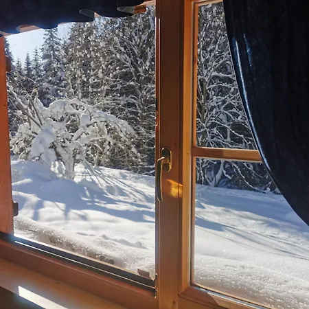 Pohorje House 2 Four Appartmetns Апартаменты Oplotnica