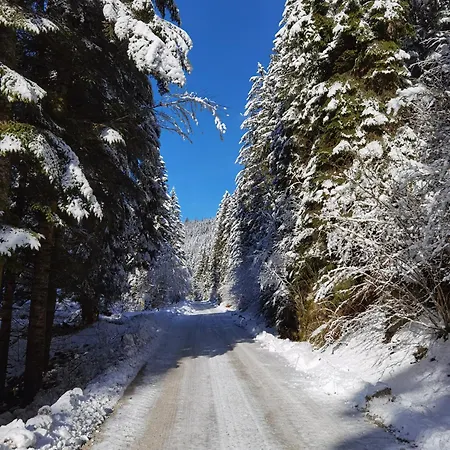 Pohorje House 2 Four Appartmetns