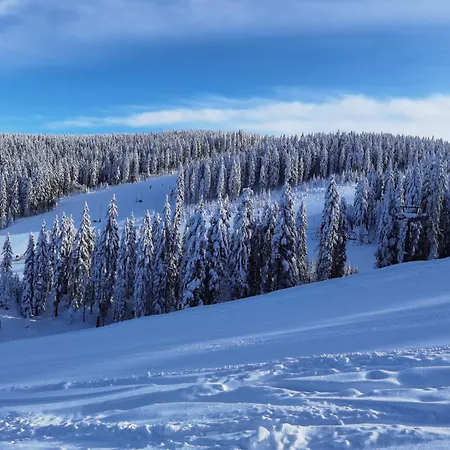 Pohorje House 2 Four Appartmetns Апартаменты *