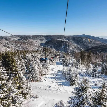 Pohorje House 2 Four Appartmetns Апартаменты