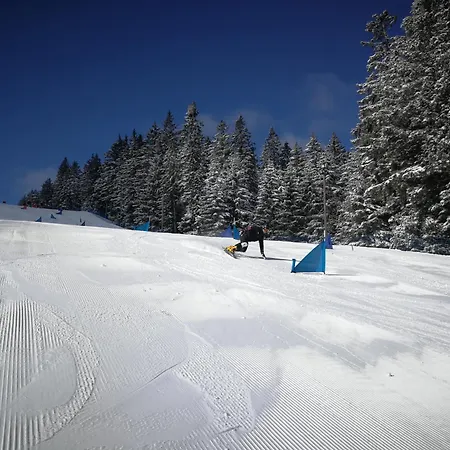 Апартаменты Pohorje House 2 Four Appartmetns Oplotnica