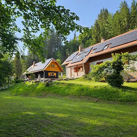 Апартаменты Pohorje House 2 Four Appartmetns Oplotnica