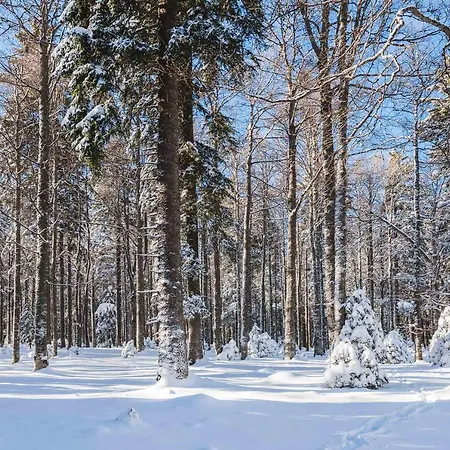 Pohorje House 2 Four Appartmetns Oplotnica
