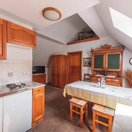 Pohorje House 2 Four Appartmetns Апартаменты Oplotnica