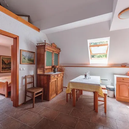 Pohorje House 2 Four Appartmetns Апартаменты *
