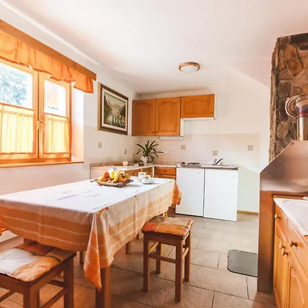 Pohorje House 2 Four Appartmetns *