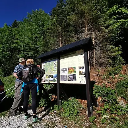 Apartament Pohorje House 2 A Private Riverside *