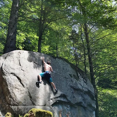 Апартаменты Pohorje House 2 Four Appartmetns *