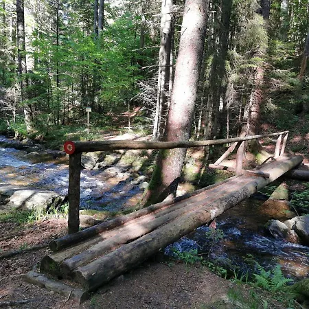 Pohorje House 2 Four Appartmetns *