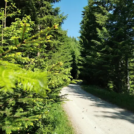 Pohorje House 2 Four Appartmetns