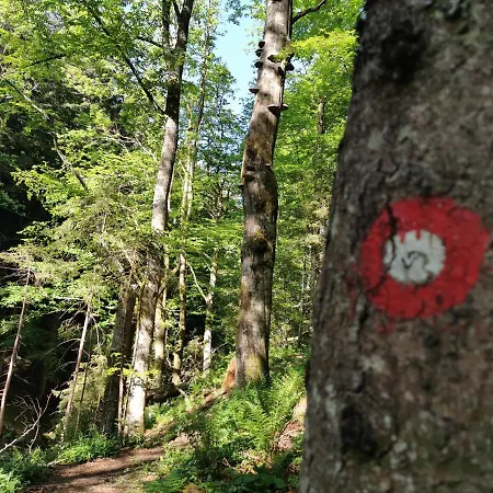 Pohorje House 2 Four Appartmetns