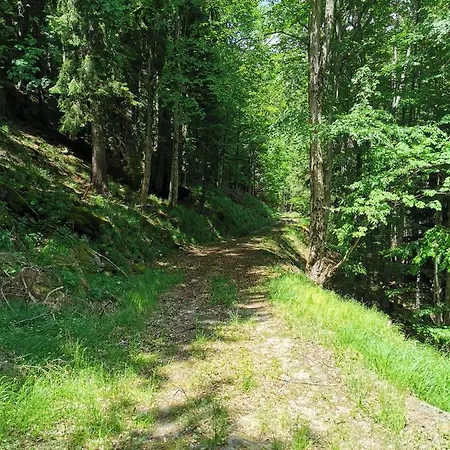 Pohorje House 2 Four Appartmetns * Oplotnica