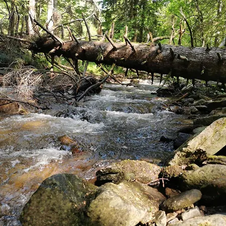 Pohorje House 2 Four Appartmetns Apartamento *