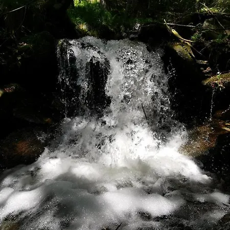 Pohorje House 2 Four Appartmetns *