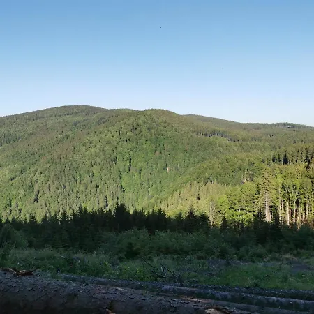 Pohorje House 2 Four Appartmetns