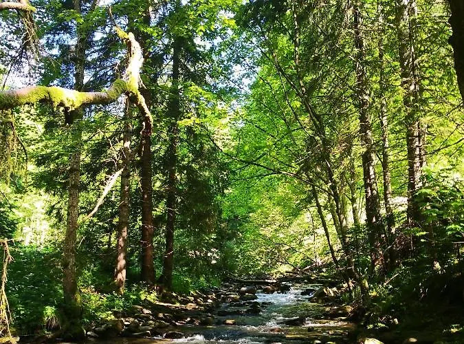 アパート Pohorje House 2 Four Appartmetns Oplotnica