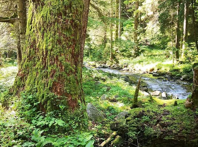 Pohorje House 2 Four Appartmetns