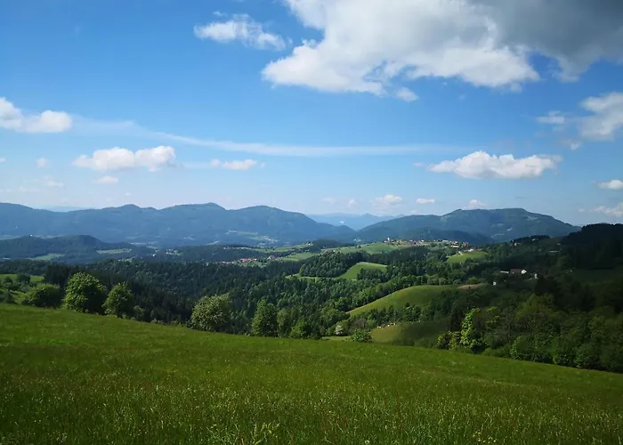 Pohorje House 2 Four Appartmetns アパート Oplotnica