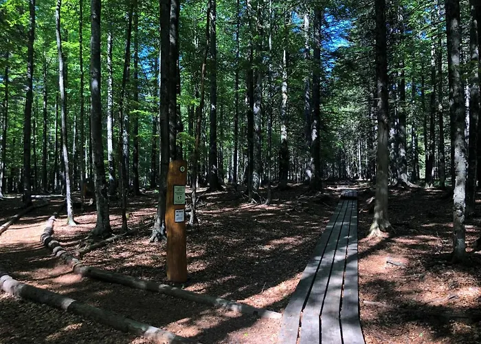 Pohorje House 2 Four Appartmetns *