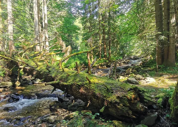 Pohorje House 2 Four Appartmetns דירה