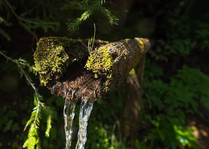 アパート Pohorje House 2 Four Appartmetns *