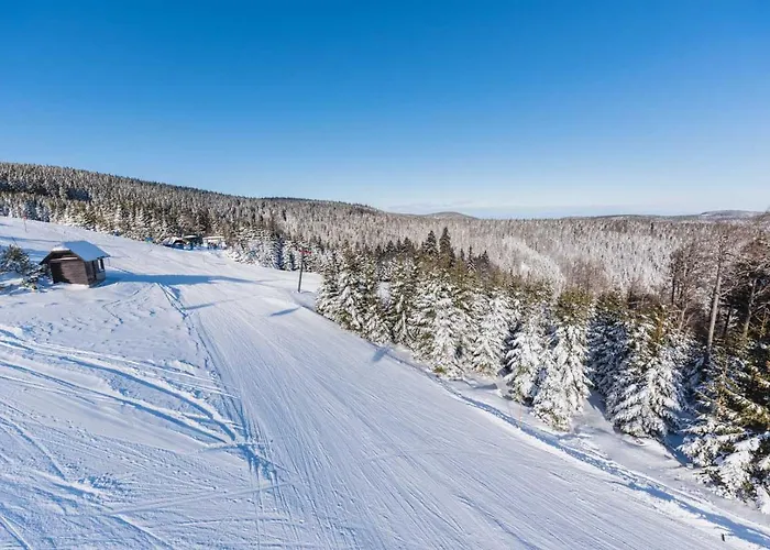 דירה Pohorje House 2 Four Appartmetns Oplotnica