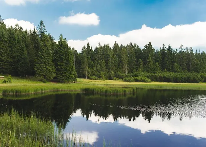 Pohorje House 2 Four Appartmetns Oplotnica