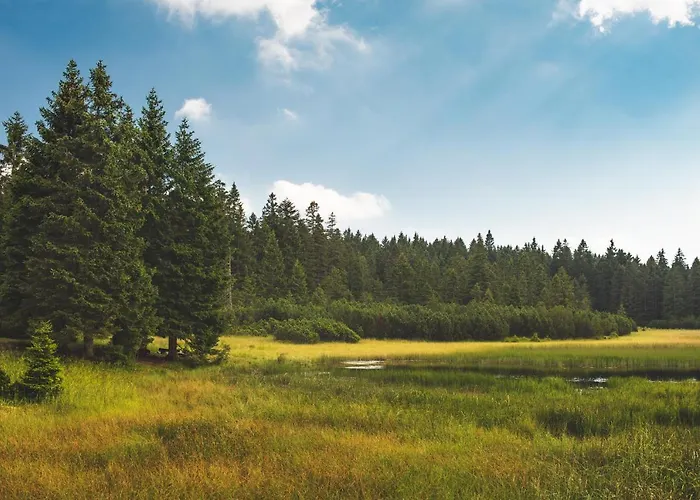 Pohorje House 2 Four Appartmetns Oplotnica