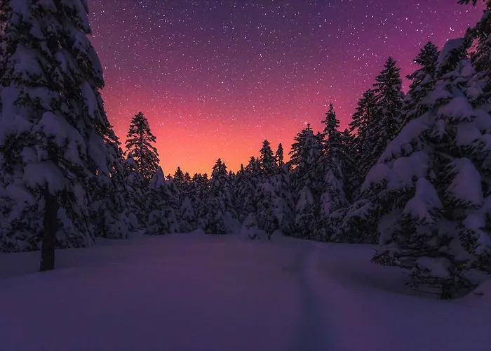 Pohorje House 2 Four Appartmetns Oplotnica