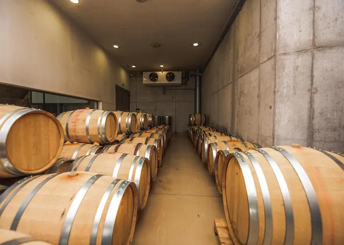 Pohorje House 2 Four Appartmetns Oplotnica