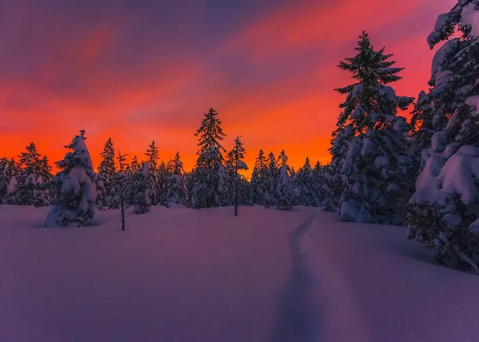 Pohorje House 2 Four Appartmetns Oplotnica