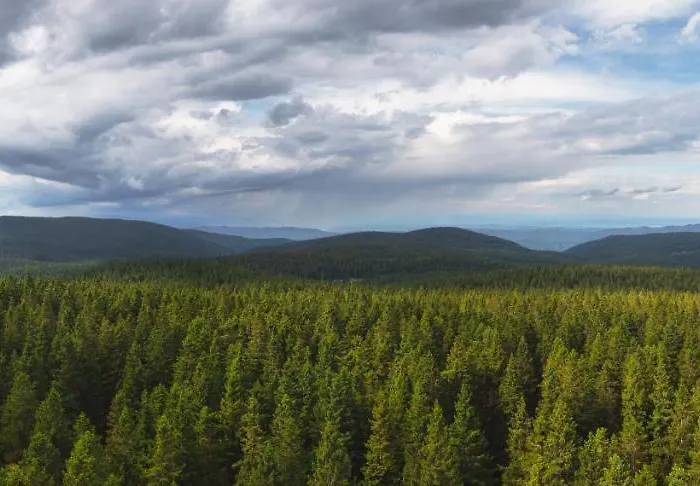 Pohorje House 2 Four Appartmetns Oplotnica