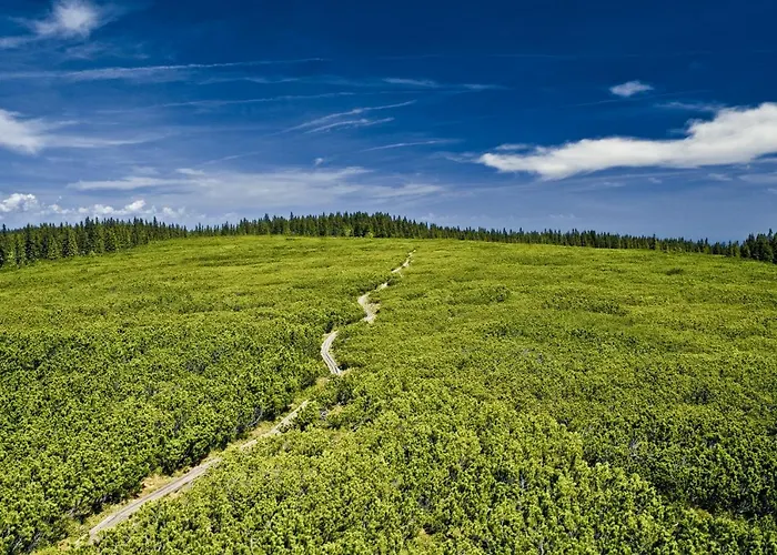 דירה Pohorje House 2 Four Appartmetns Oplotnica